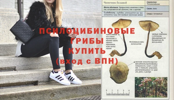 первитин Абинск
