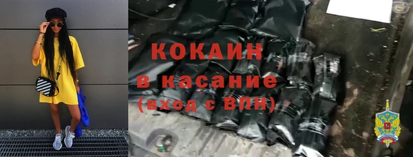 хмурый Абаза
