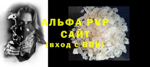 хмурый Абаза