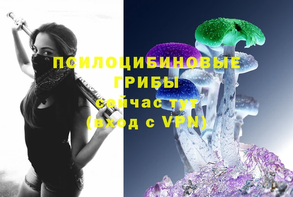 хмурый Абаза
