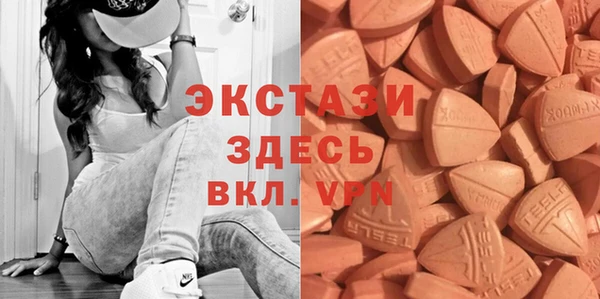 хмурый Абаза
