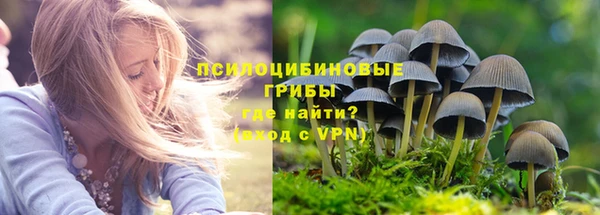 хмурый Абаза